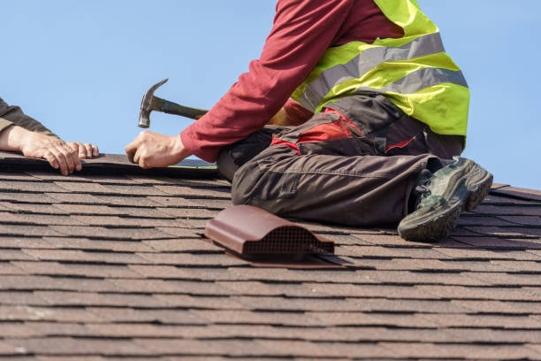 Best Local Roofing Companies  in Nokesville, VA