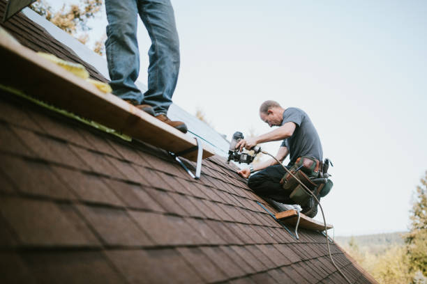 Best Roof Maintenance Services  in Nokesville, VA